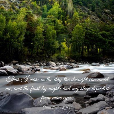 Picture 03 - Genesis 31:40 KJV - Thus I was; in the day the drought consumed me, - Bible Verse Picture