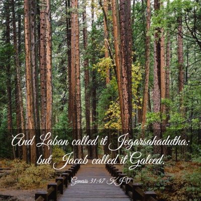 Picture 03 - Genesis 31:47 KJV - And Laban called it Jegarsahadutha: but Jacob - Bible Verse Picture