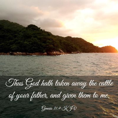 Picture 03 - Genesis 31:9 KJV - Thus God hath taken away the cattle of your - Bible Verse Picture