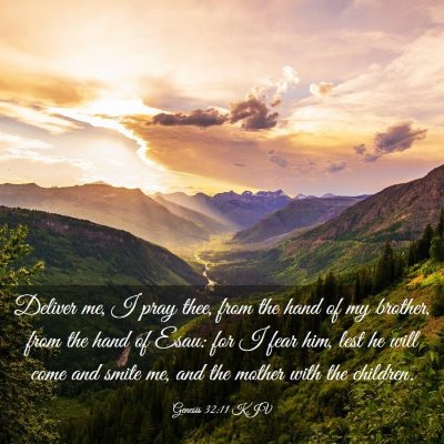 Picture 03 - Genesis 32:11 KJV - Deliver me, I pray thee, from the hand of my - Bible Verse Picture