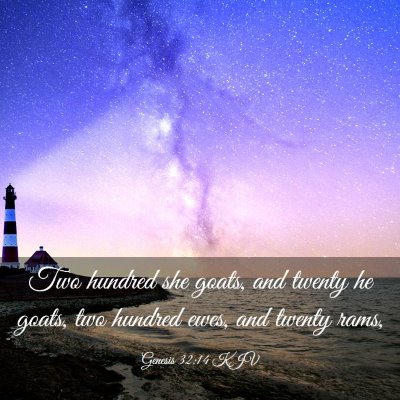 Picture 03 - Genesis 32:14 KJV - Two hundred she goats, and twenty he goats, two - Bible Verse Picture
