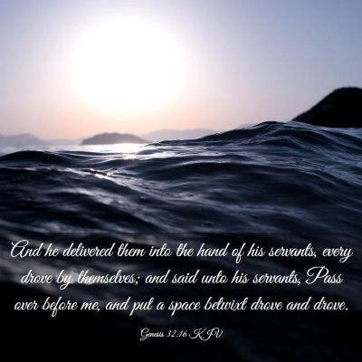 Picture 03 - Genesis 32:16 KJV - And he delivered them into the hand of his - Bible Verse Picture