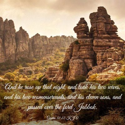 Picture 03 - Genesis 32:22 KJV - And he rose up that night, and took his two - Bible Verse Picture