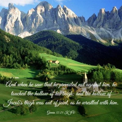Picture 03 - Genesis 32:25 KJV - And when he saw that he prevailed not against - Bible Verse Picture