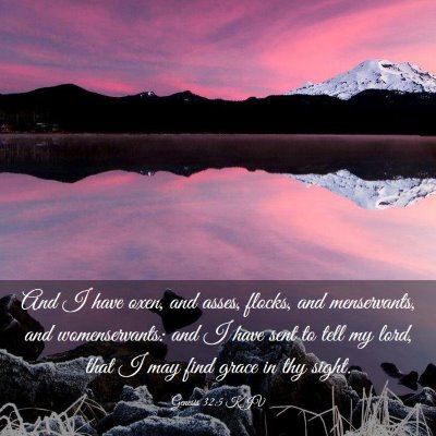 Picture 03 - Genesis 32:5 KJV - And I have oxen, and asses, flocks, and - Bible Verse Picture