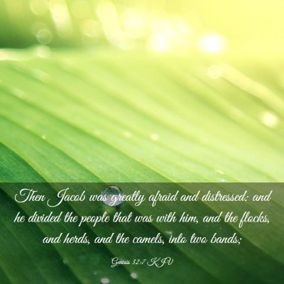Picture 03 - Genesis 32:7 KJV - Then Jacob was greatly afraid and distressed: and - Bible Verse Picture