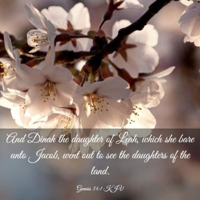 Picture 03 - Genesis 34:1 KJV - And Dinah the daughter of Leah, which she bare - Bible Verse Picture