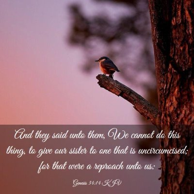 Picture 03 - Genesis 34:14 KJV - And they said unto them, We cannot do this thing, - Bible Verse Picture