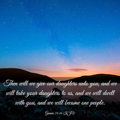 Picture 03 - Genesis 34:16 KJV - Then will we give our daughters unto you, and we - Bible Verse Picture