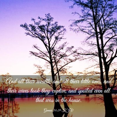 Picture 03 - Genesis 34:29 KJV - And all their wealth, and all their little ones, - Bible Verse Picture