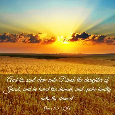 Picture 03 - Genesis 34:3 KJV - And his soul clave unto Dinah the daughter of - Bible Verse Picture