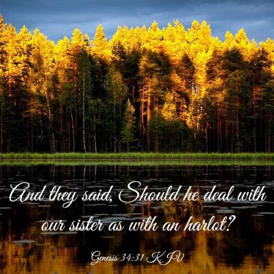 Picture 03 - Genesis 34:31 KJV - And they said, Should he deal with our sister as - Bible Verse Picture