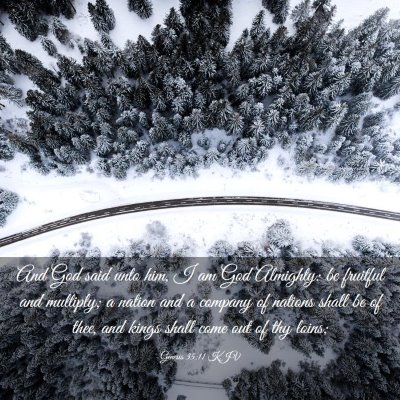 Picture 03 - Genesis 35:11 KJV - And God said unto him, I am God Almighty: be - Bible Verse Picture