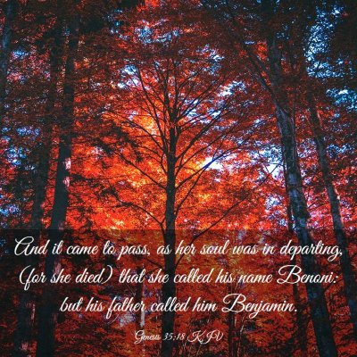 Picture 03 - Genesis 35:18 KJV - And it came to pass, as her soul was in - Bible Verse Picture
