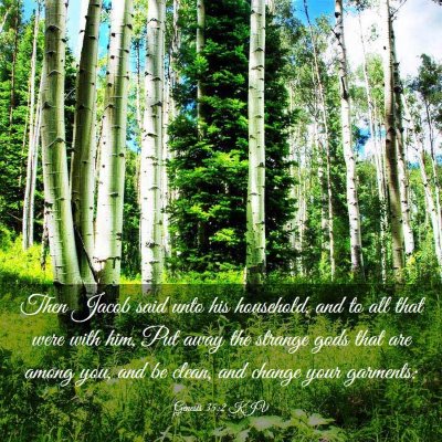 Picture 03 - Genesis 35:2 KJV - Then Jacob said unto his household, and to all - Bible Verse Picture