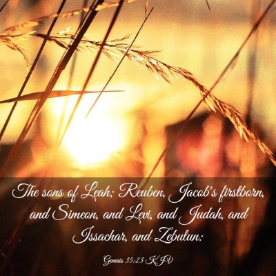 Picture 03 - Genesis 35:23 KJV - The sons of Leah; Reuben, Jacob's firstborn, and - Bible Verse Picture