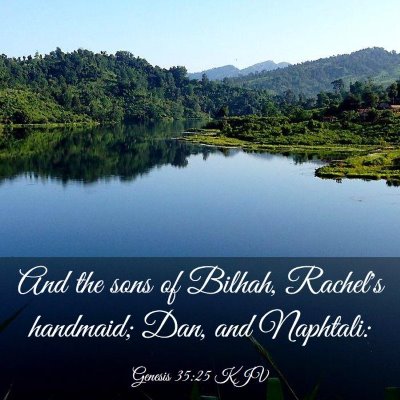 Picture 03 - Genesis 35:25 KJV - And the sons of Bilhah, Rachel's handmaid; Dan, - Bible Verse Picture