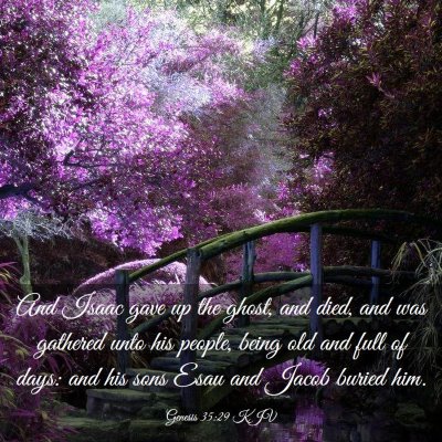 Picture 03 - Genesis 35:29 KJV - And Isaac gave up the ghost, and died, and was - Bible Verse Picture