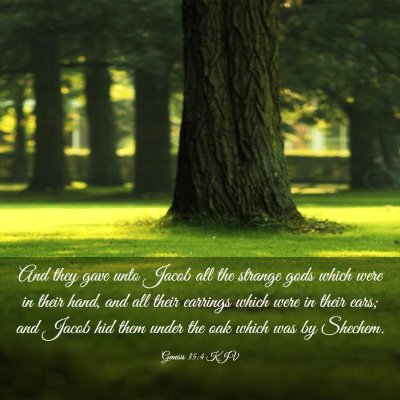 Picture 03 - Genesis 35:4 KJV - And they gave unto Jacob all the strange gods - Bible Verse Picture