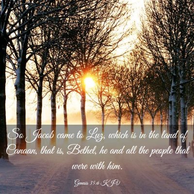 Picture 03 - Genesis 35:6 KJV - So Jacob came to Luz, which is in the land of - Bible Verse Picture