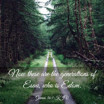 Picture 03 - Genesis 36:1 KJV - Now these are the generations of Esau, who is - Bible Verse Picture
