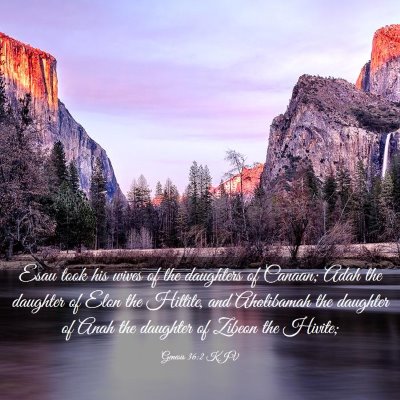 Picture 03 - Genesis 36:2 KJV - Esau took his wives of the daughters of Canaan; - Bible Verse Picture