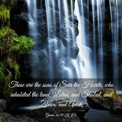 Picture 03 - Genesis 36:20 KJV - These are the sons of Seir the Horite, who - Bible Verse Picture