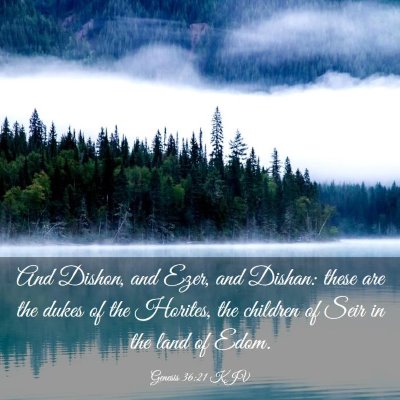 Picture 03 - Genesis 36:21 KJV - And Dishon, and Ezer, and Dishan: these are the - Bible Verse Picture