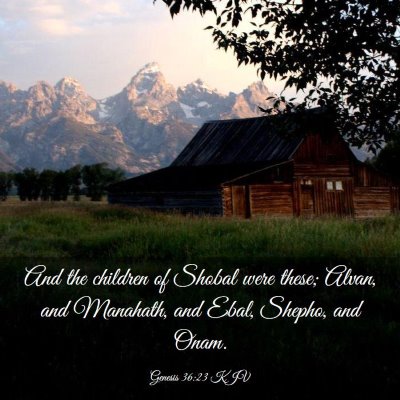 Picture 03 - Genesis 36:23 KJV - And the children of Shobal were these; Alvan, and - Bible Verse Picture