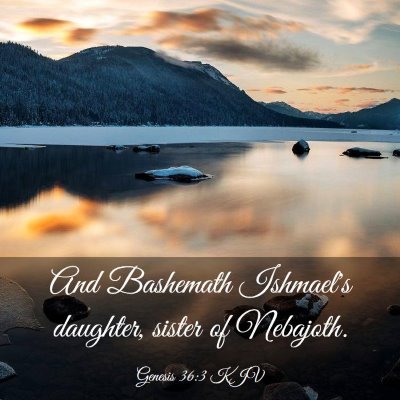 Picture 03 - Genesis 36:3 KJV - And Bashemath Ishmael's daughter, sister of - Bible Verse Picture