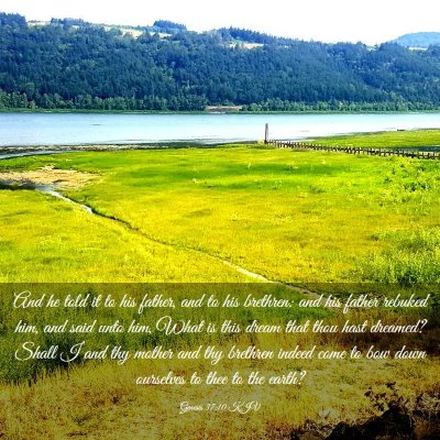 Picture 03 - Genesis 37:10 KJV - And he told it to his father, and to his - Bible Verse Picture