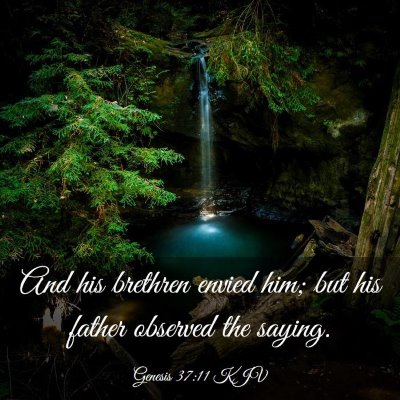 Picture 03 - Genesis 37:11 KJV - And his brethren envied him; but his father - Bible Verse Picture