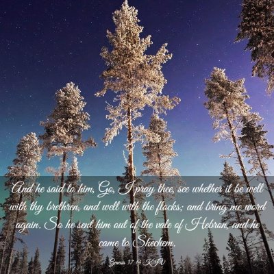Picture 03 - Genesis 37:14 KJV - And he said to him, Go, I pray thee, see whether - Bible Verse Picture