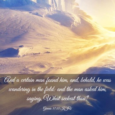Picture 03 - Genesis 37:15 KJV - And a certain man found him, and, behold, he was - Bible Verse Picture