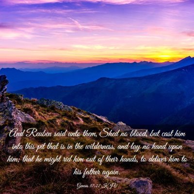 Picture 03 - Genesis 37:22 KJV - And Reuben said unto them, Shed no blood, but - Bible Verse Picture