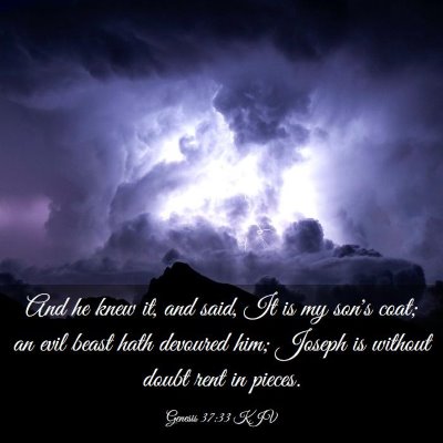 Picture 03 - Genesis 37:33 KJV - And he knew it, and said, It is my son's coat; an - Bible Verse Picture