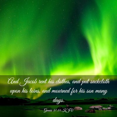 Picture 03 - Genesis 37:34 KJV - And Jacob rent his clothes, and put sackcloth - Bible Verse Picture