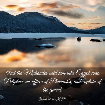 Picture 03 - Genesis 37:36 KJV - And the Midianites sold him into Egypt unto - Bible Verse Picture