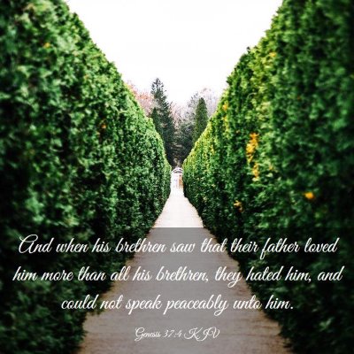 Picture 03 - Genesis 37:4 KJV - And when his brethren saw that their father loved - Bible Verse Picture