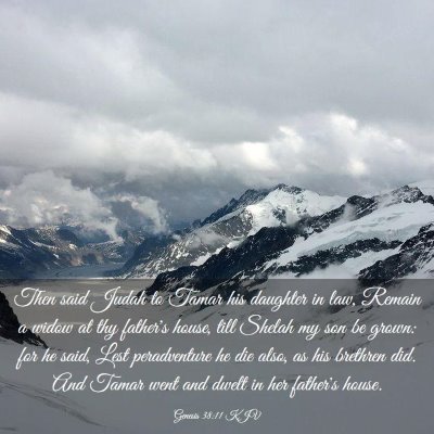 Picture 03 - Genesis 38:11 KJV - Then said Judah to Tamar his daughter in law, - Bible Verse Picture