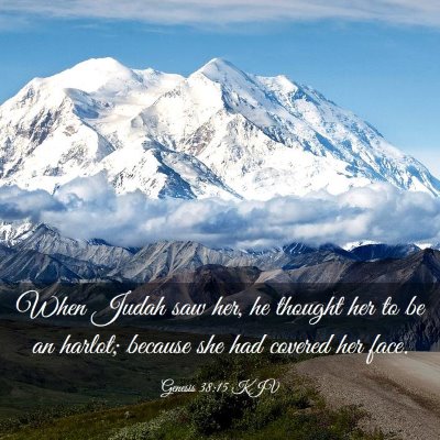 Picture 03 - Genesis 38:15 KJV - When Judah saw her, he thought her to be an - Bible Verse Picture