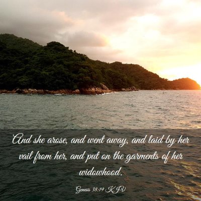 Picture 03 - Genesis 38:19 KJV - And she arose, and went away, and laid by her - Bible Verse Picture