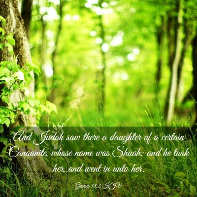 Picture 03 - Genesis 38:2 KJV - And Judah saw there a daughter of a certain - Bible Verse Picture