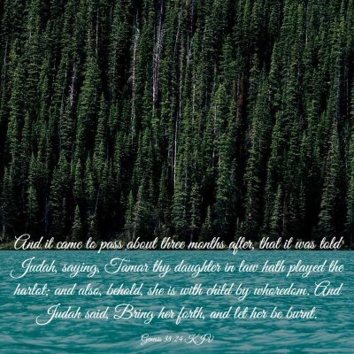 Picture 03 - Genesis 38:24 KJV - And it came to pass about three months after, - Bible Verse Picture