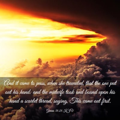 Picture 03 - Genesis 38:28 KJV - And it came to pass, when she travailed, that the - Bible Verse Picture