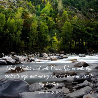 Picture 03 - Genesis 38:8 KJV - And Judah said unto Onan, Go in unto thy - Bible Verse Picture