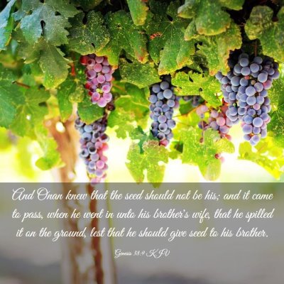 Picture 03 - Genesis 38:9 KJV - And Onan knew that the seed should not be his; - Bible Verse Picture