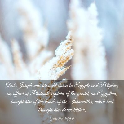 Picture 03 - Genesis 39:1 KJV - And Joseph was brought down to Egypt; and - Bible Verse Picture