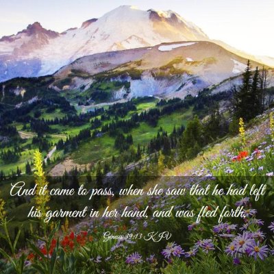Picture 03 - Genesis 39:13 KJV - And it came to pass, when she saw that he had - Bible Verse Picture