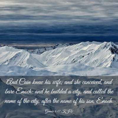 Picture 03 - Genesis 4:17 KJV - And Cain knew his wife; and she conceived, and - Bible Verse Picture